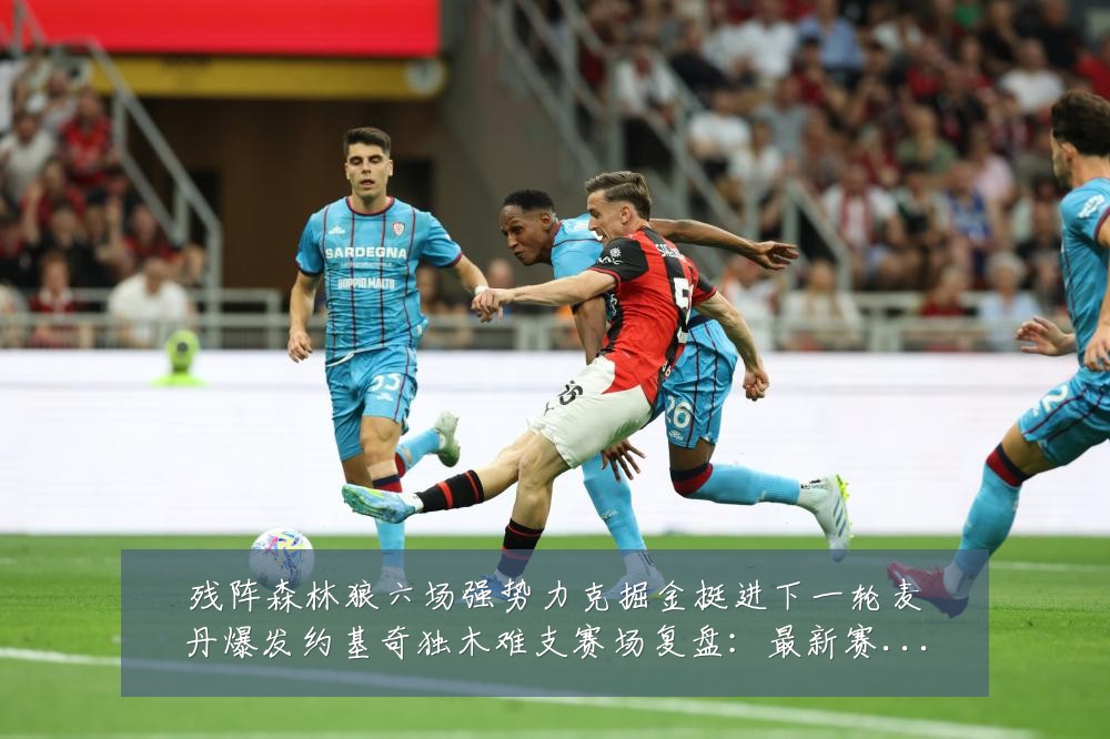 残阵森林狼六场强势力克掘金挺进下一轮麦丹爆发约基奇独木难支赛场复盘:最新赛事动态与深度分析